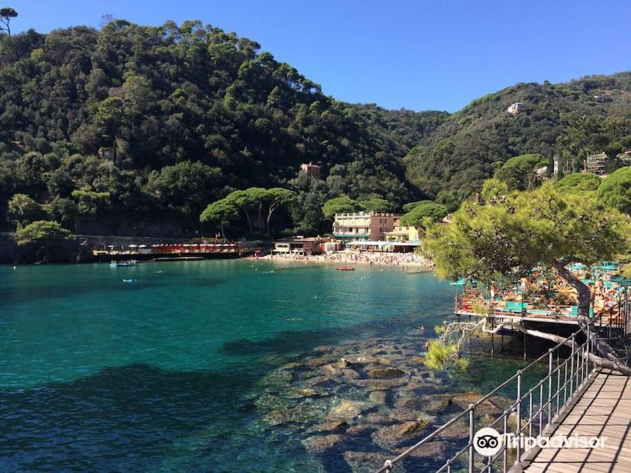 Portofino - Appartamento Vista Mare - Rooftop Terrazzo - In Centro Citta - Free Wifi Rapallo Esterno foto